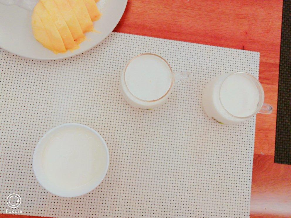 吃豆腐啦！——小嶋老师茉莉奶冻