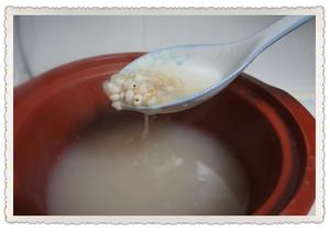 薏仁牛奶粥的做法 步骤3