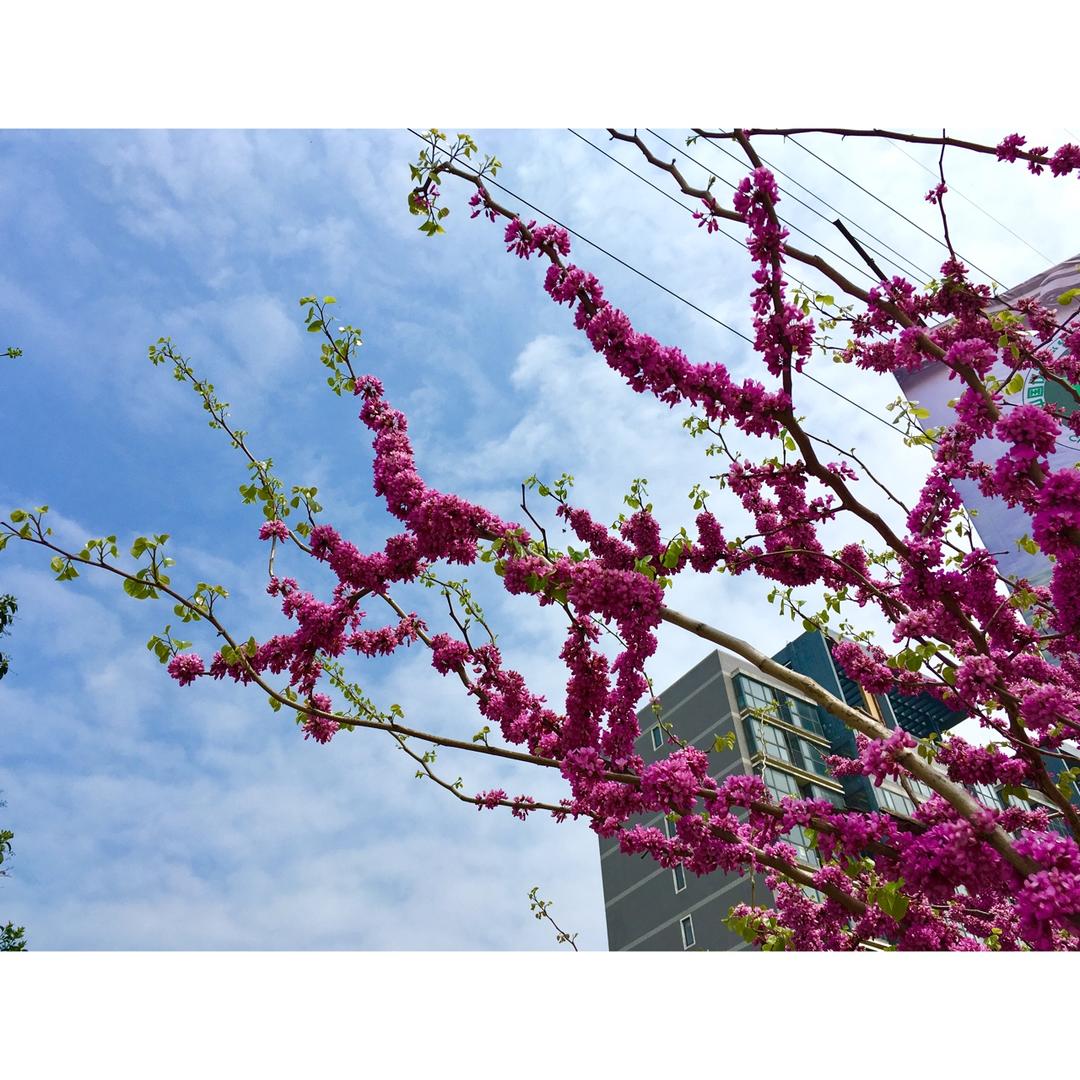 花食间