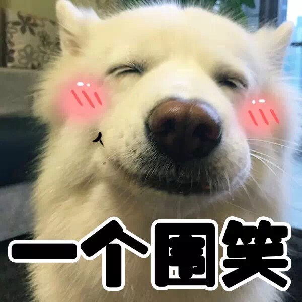 王鲜花儿