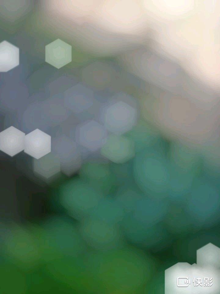办公室小野净化器做豆腐 双层火锅烤生蚝 拆个滤纸做面膜