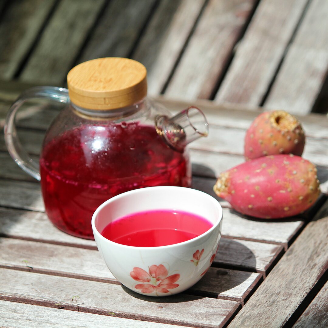 癫痫小神经做的仙人掌果汁