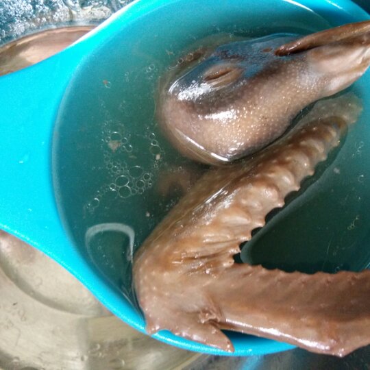 红枣枸杞乳鸽汤