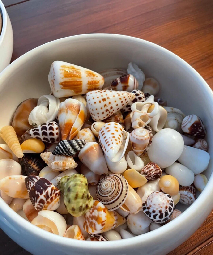 du子饿了