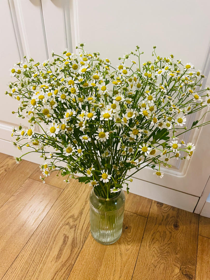 Lumi001