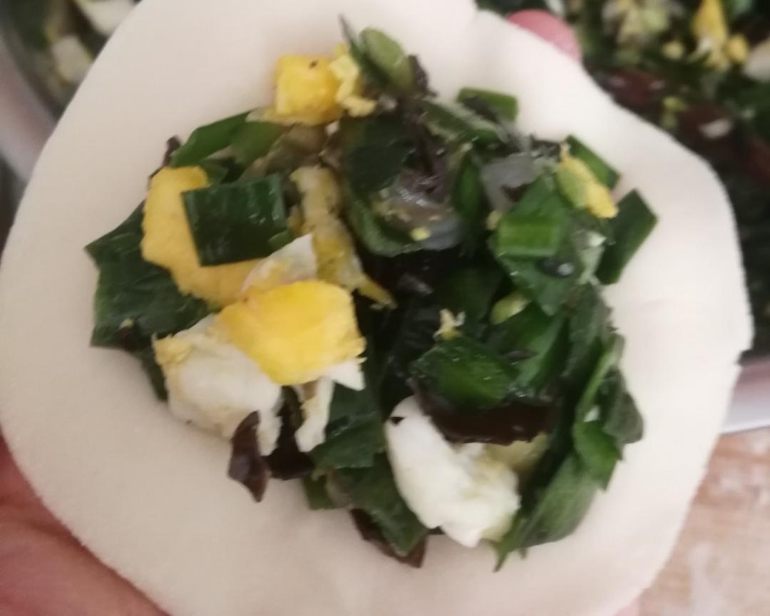 韭菜虾仁饺子～韭菜饺子～春吃一口鲜的做法