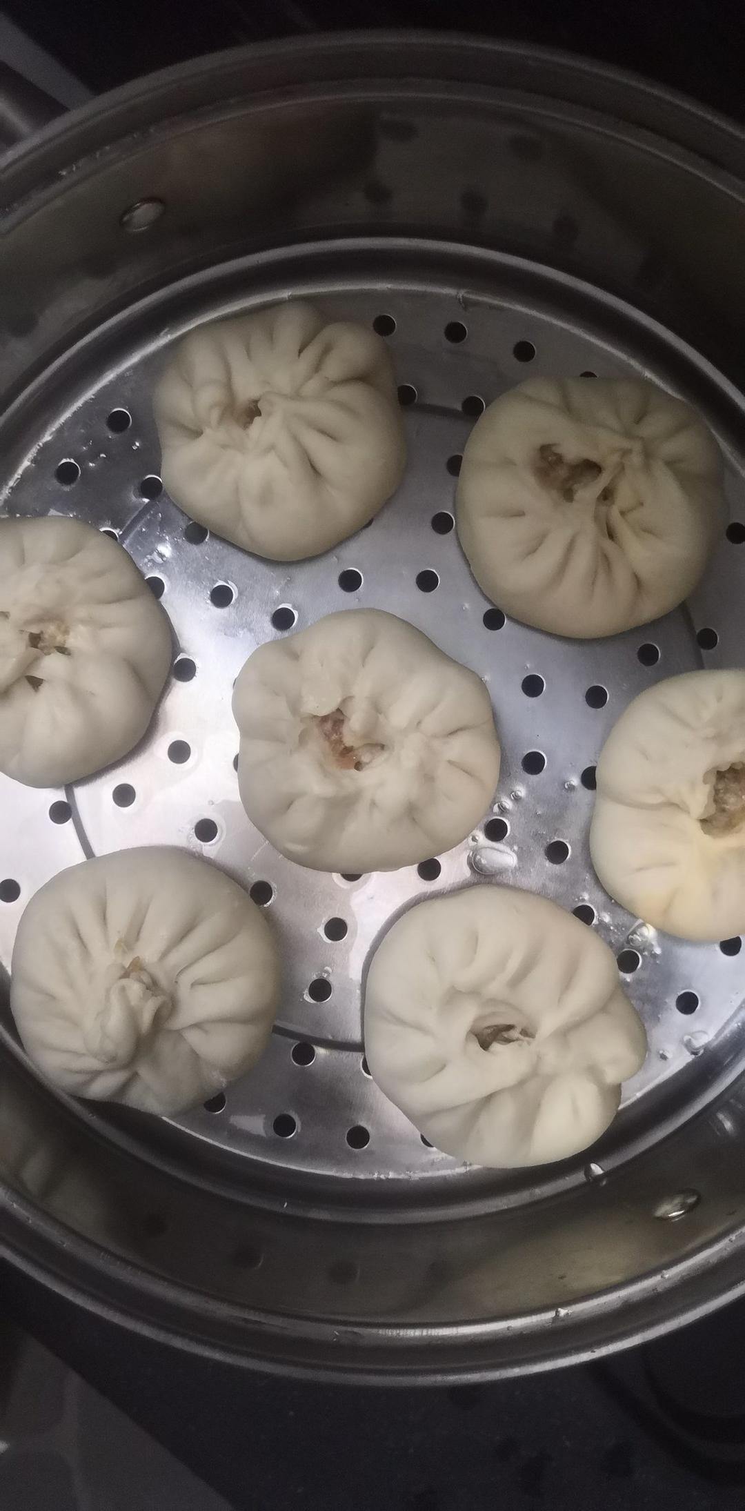 猪肉包子（附视频。一次性发酵。）