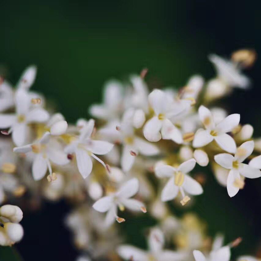 四季三餐还有你