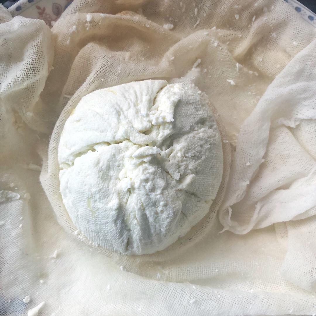 自制茅屋奶酪+快手吃法推荐（cottage cheese）丨健康·零食