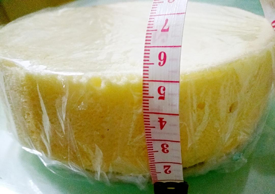 元贞糖版无糖酸奶戚风（长帝健康版）的做法