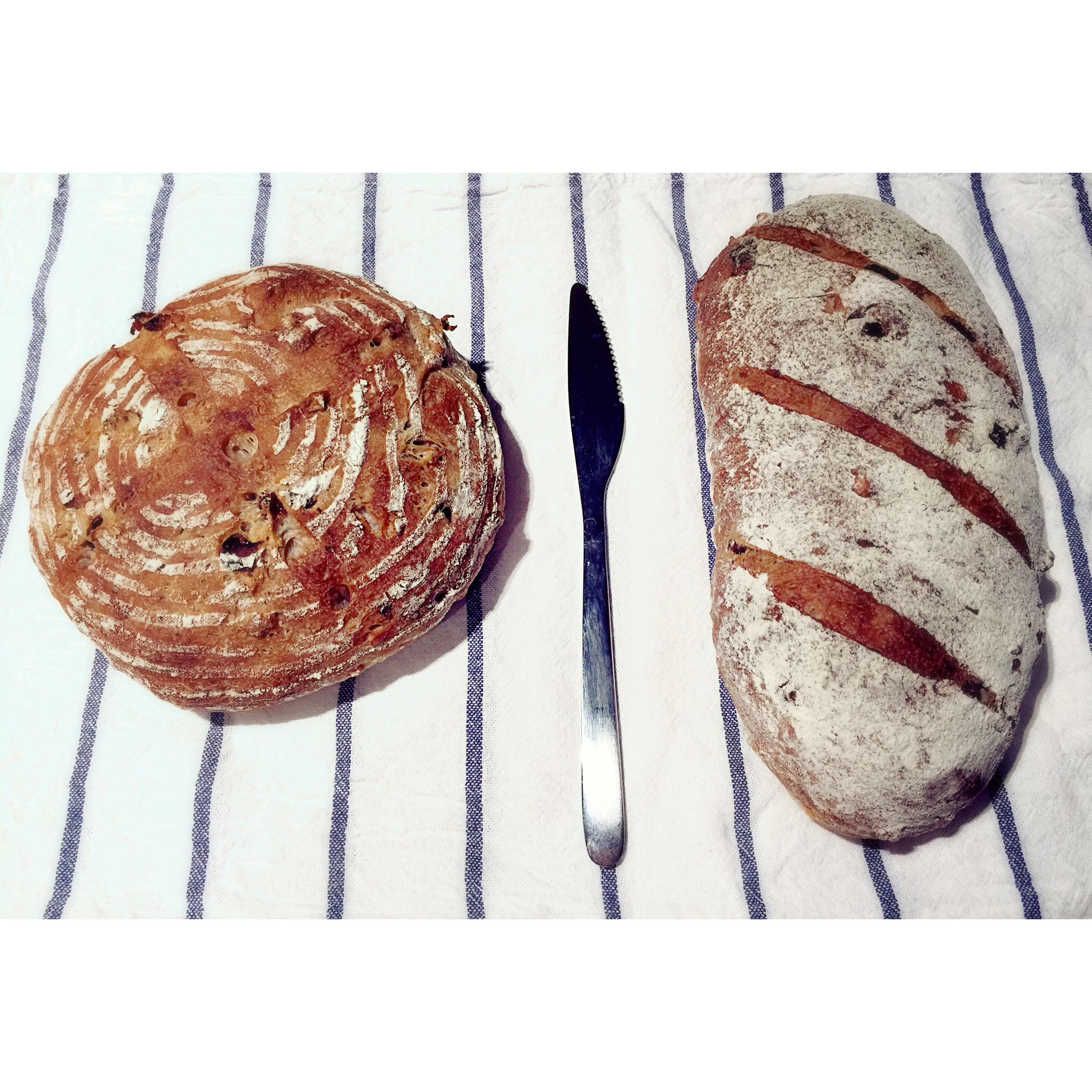 全麦核桃包～软欧包