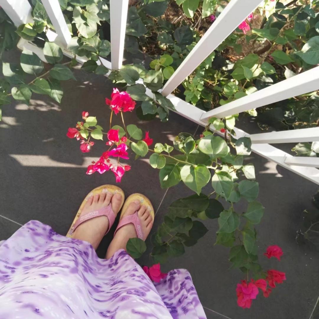 holidayhy