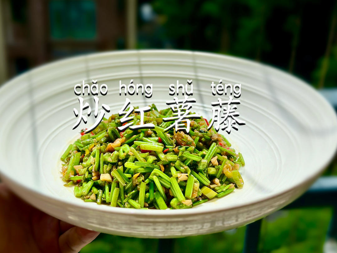 炒红薯藤｜超级下饭菜！