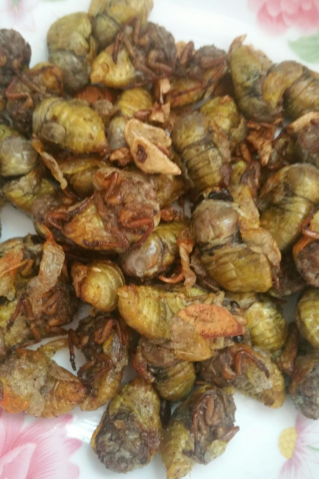 安安康康妈做的椒盐知了