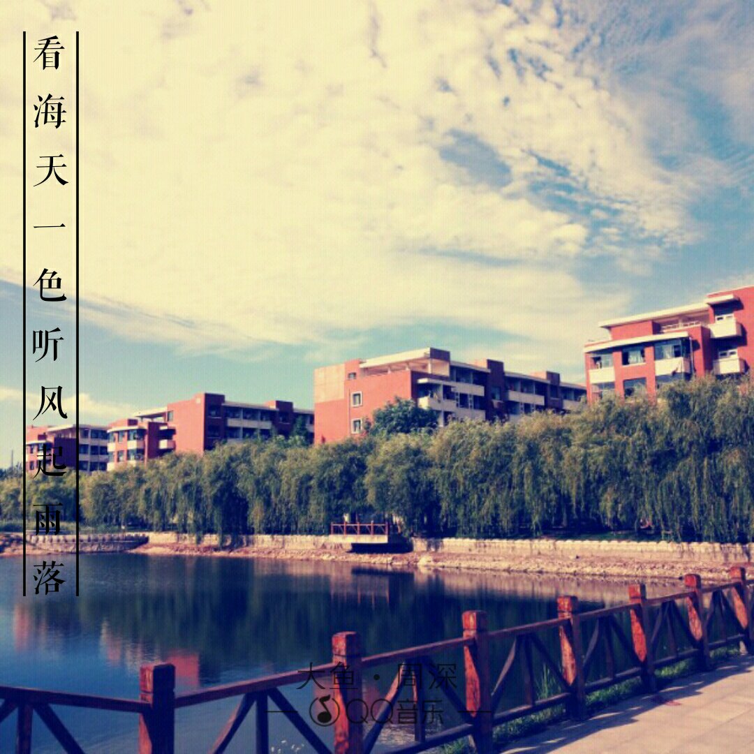 不可依赖先生