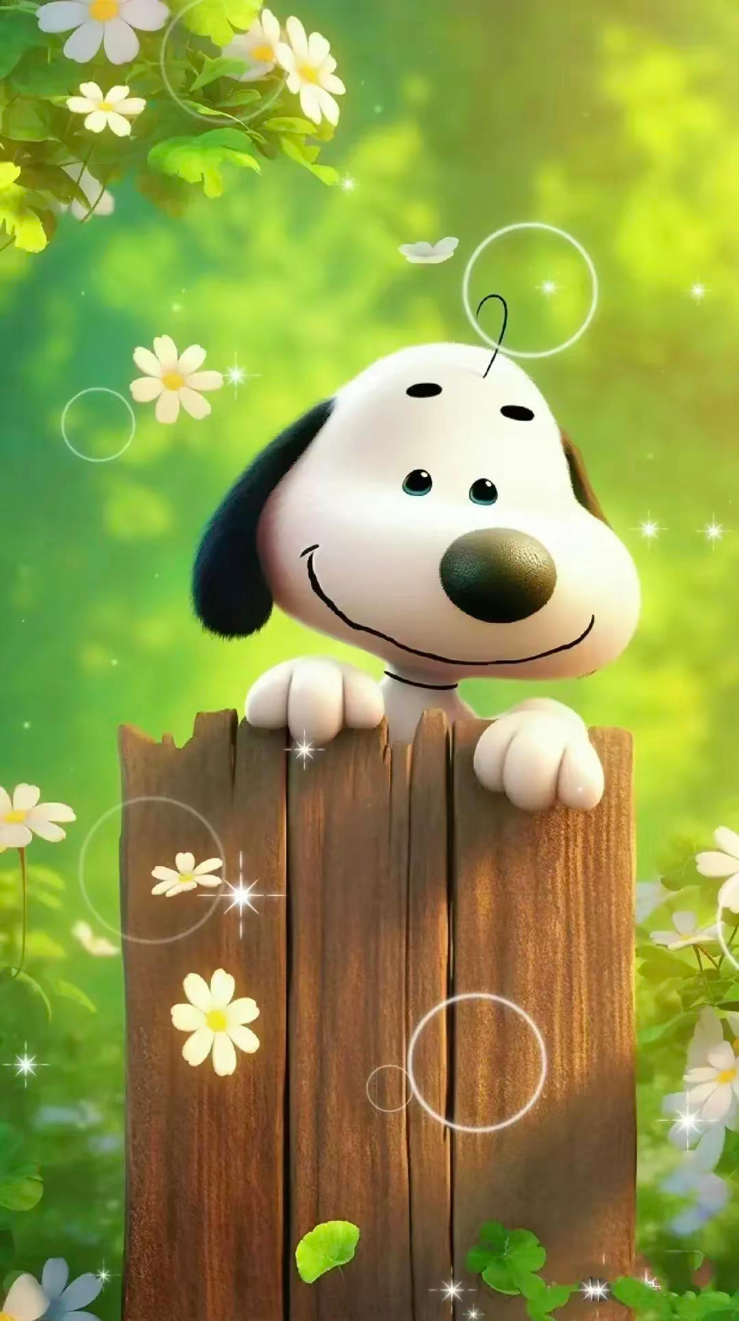 百年不遇厨艺奇才