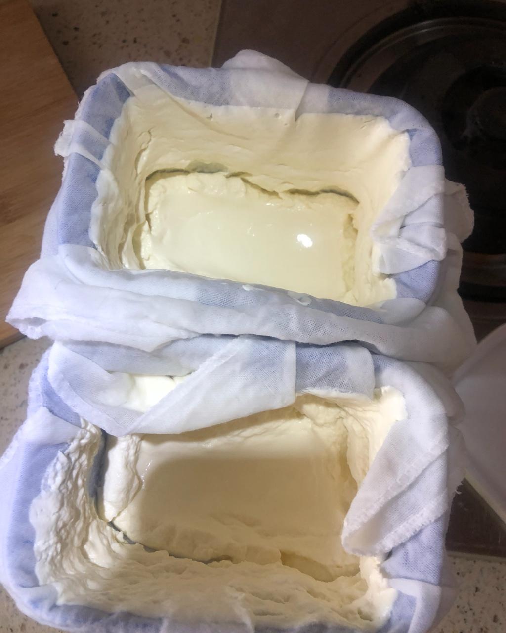 无需酸奶机的自制酸奶