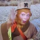 不定时灵机一动