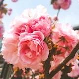 帅哥自由的坏人