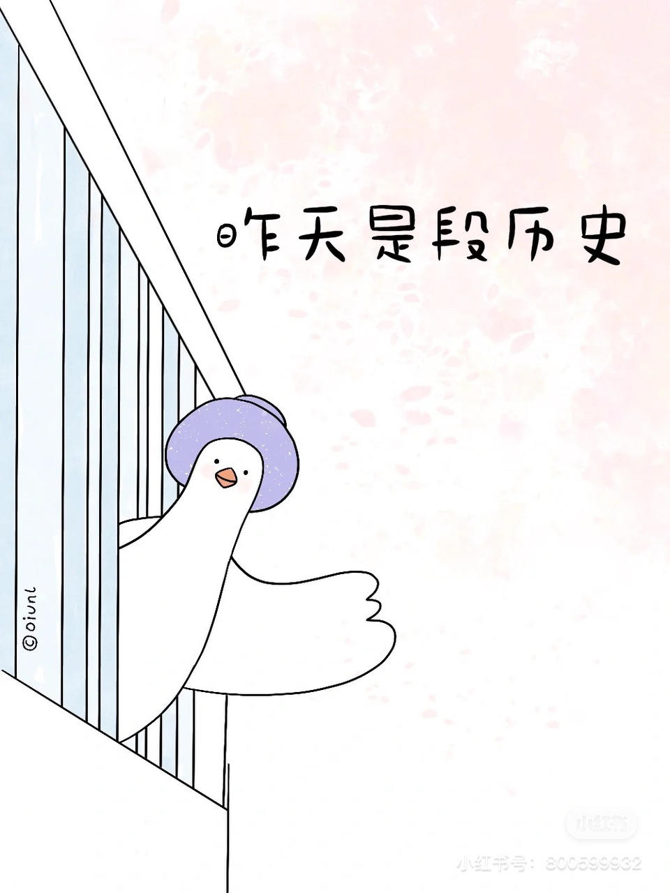 小晴7899的厨房