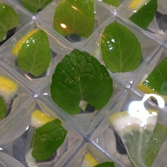 柠檬薄荷冰块的做法