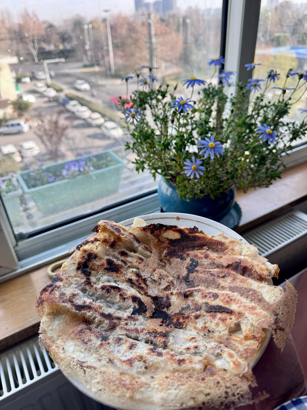 确保零失败 的日料店🥟冰花煎饺🥟