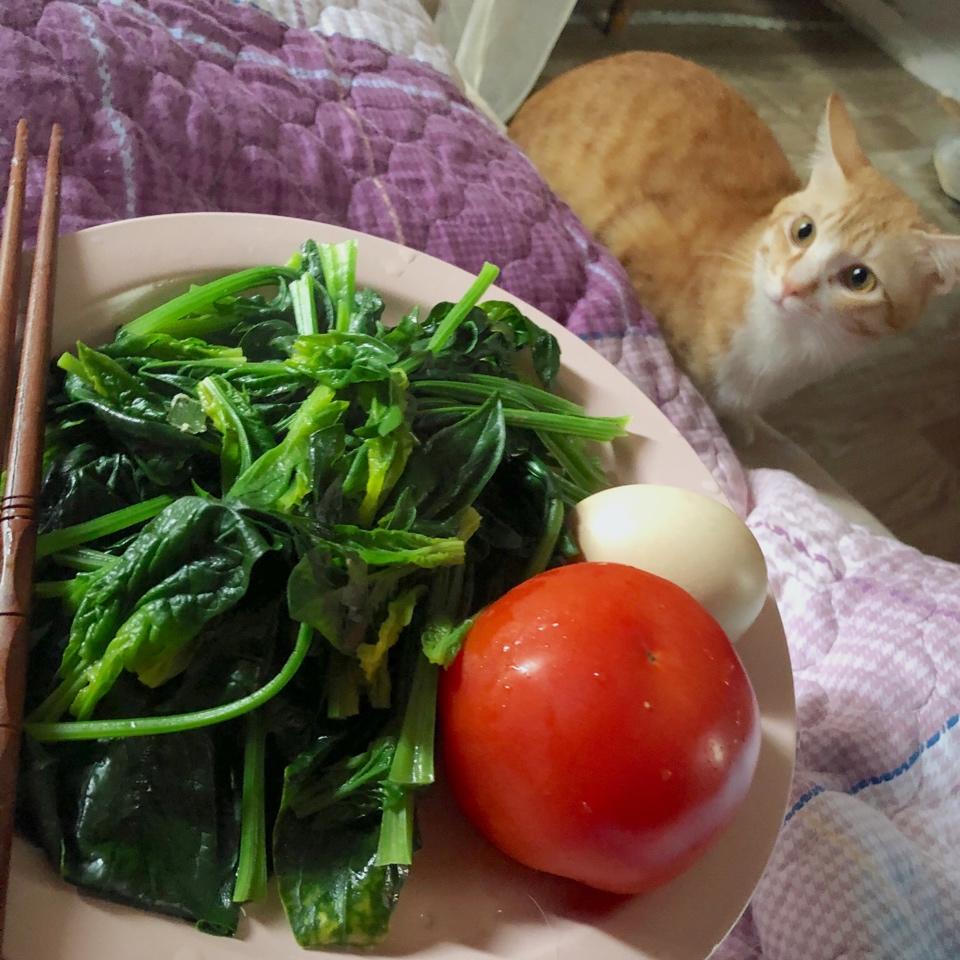 哥本哈根减肥食谱