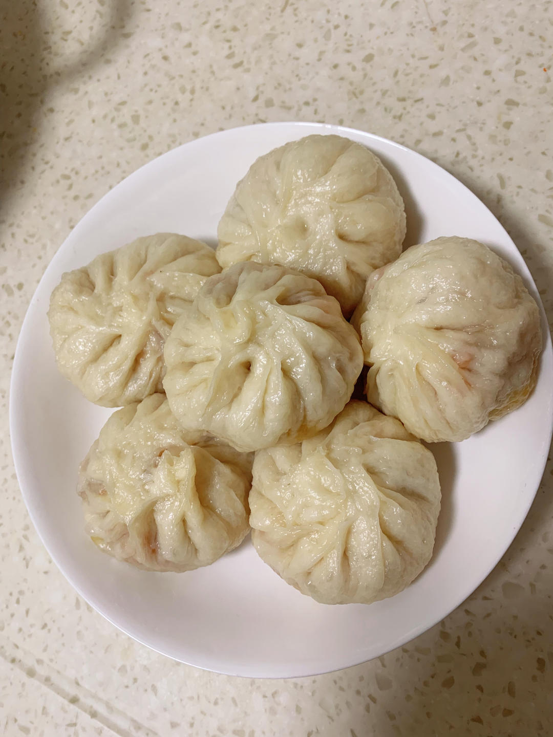 牛肉胡萝卜大葱馅包子