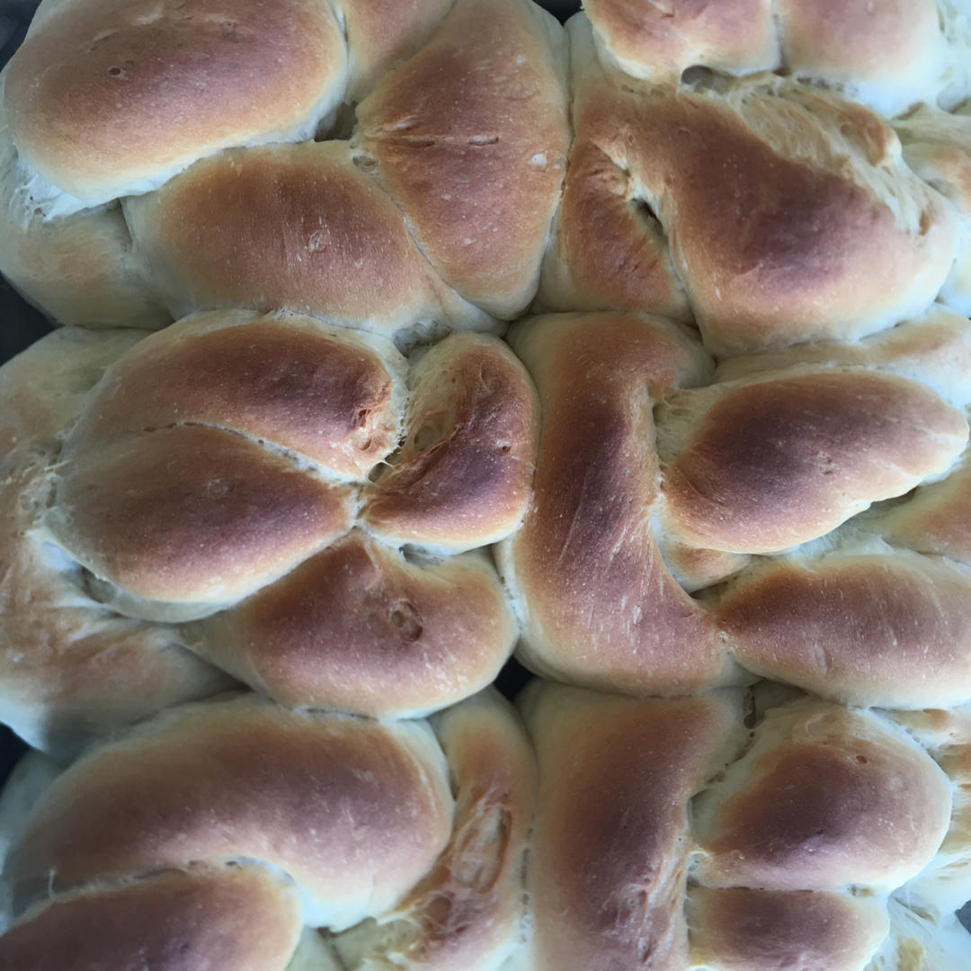 【爱和自由】老面包