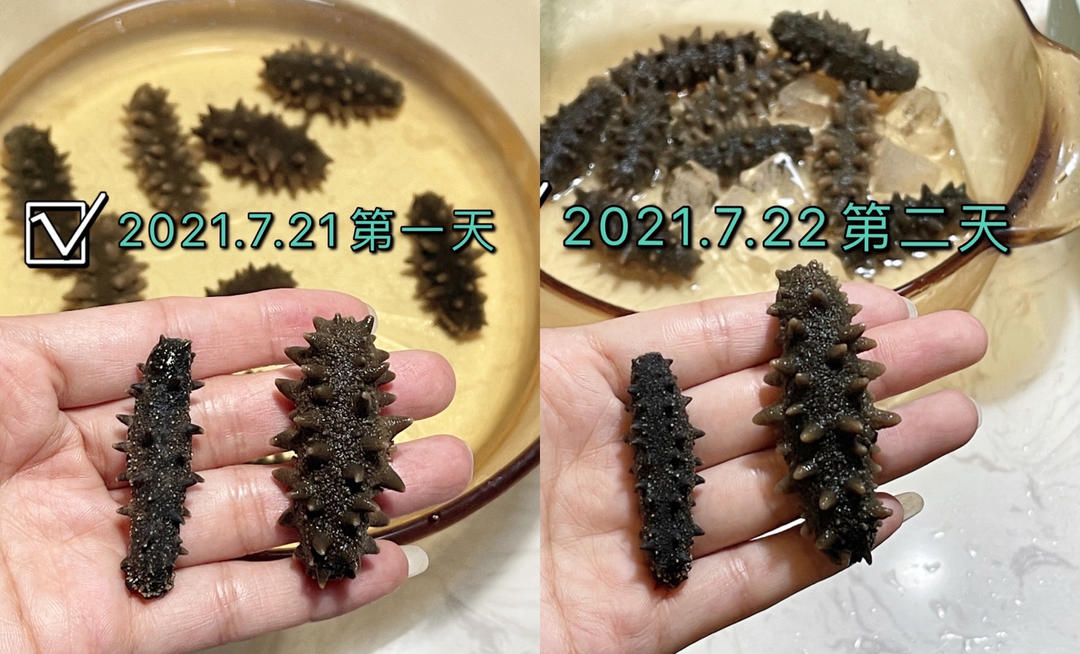 堂妈教你发海参