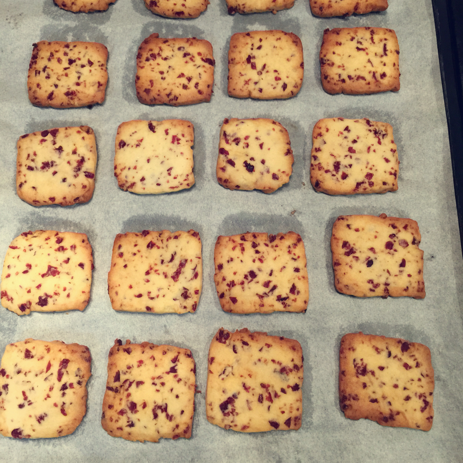 《Tinrry+》蔓越莓曲奇（超简单曲奇配方）