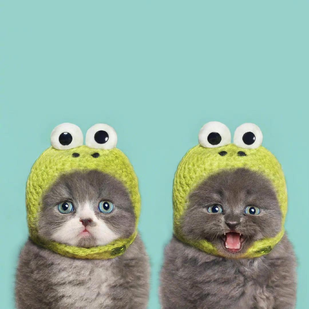 懒猫猫的厨房