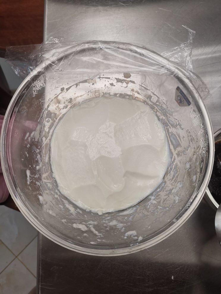 《Tinrry+》揭秘超级嫩滑的咸甜豆腐花，豆腐脑，干货满满
