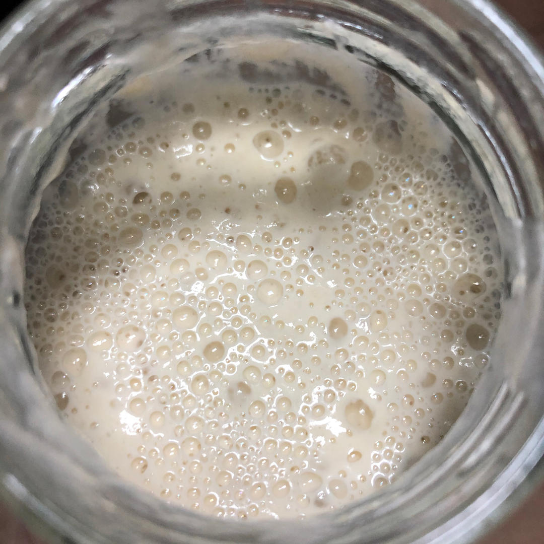 葡萄种天然酵母&鲁邦种培养记录