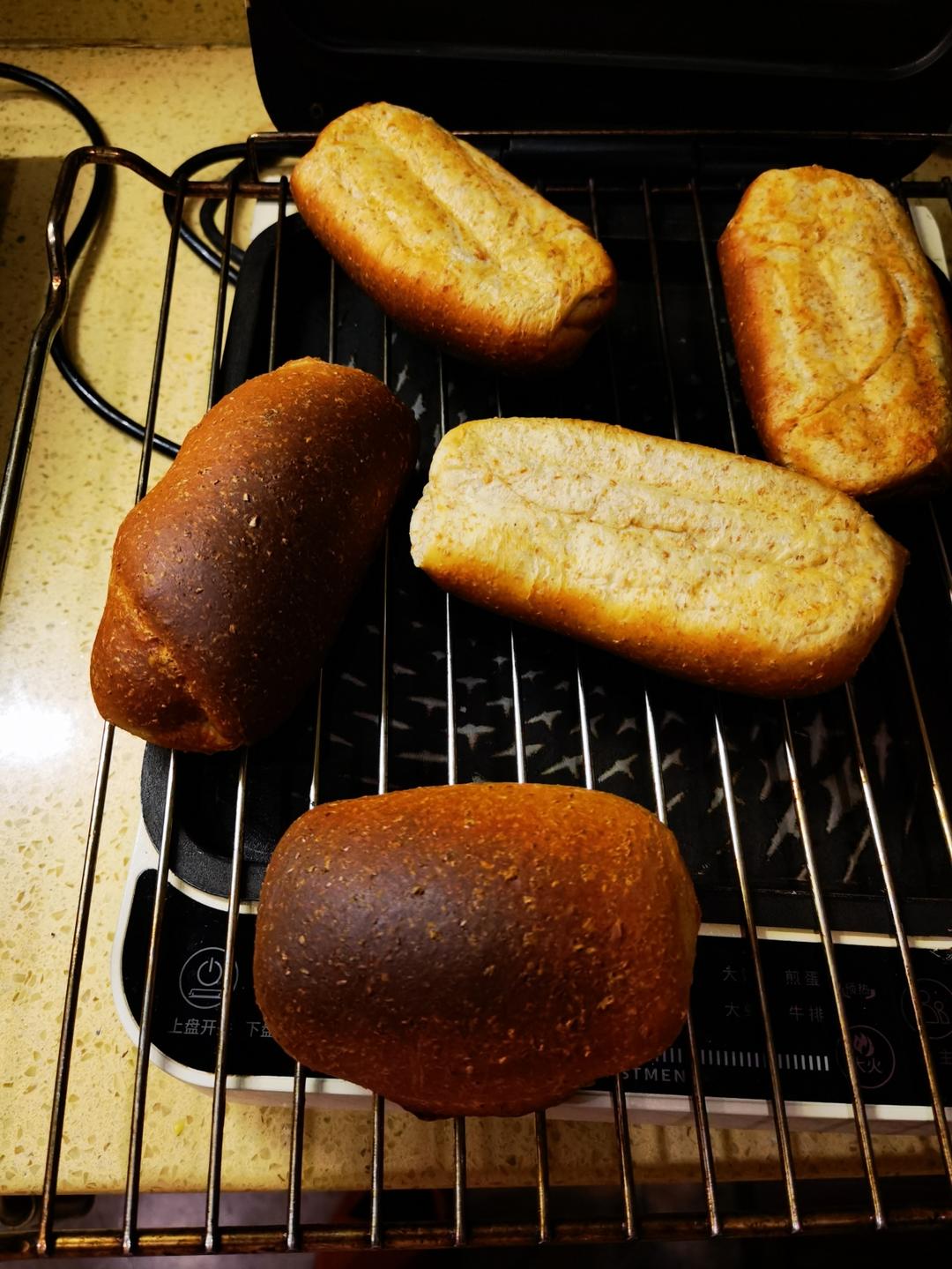 可量产!全麦帕尼尼🥪面包胚