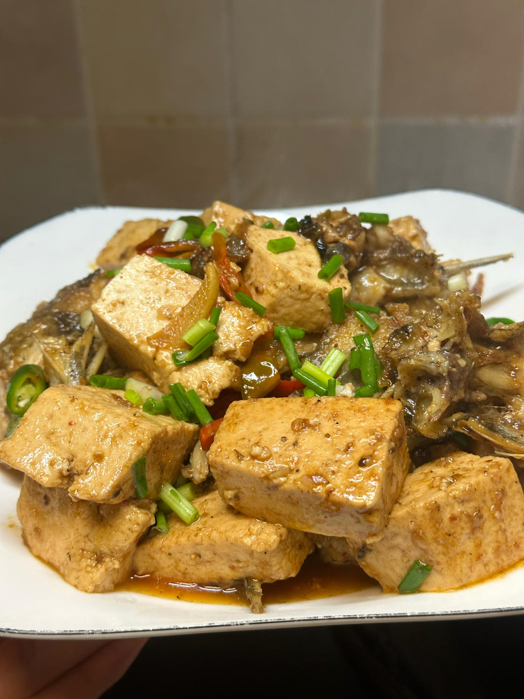 红烧豆腐昂刺鱼