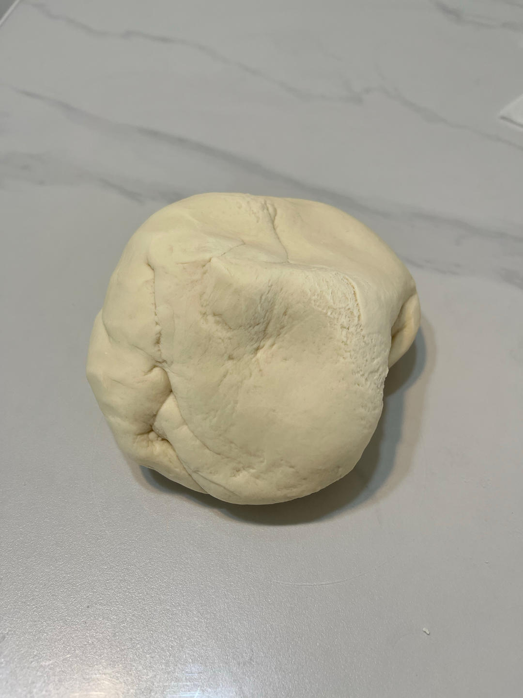 好吃多汁的肉包子肉馒头【步骤超详细】