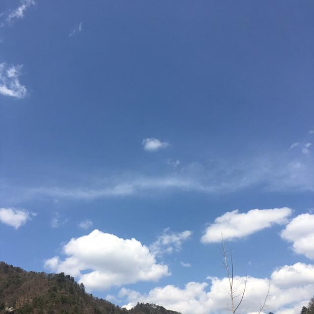 柳卿7592_sq9b