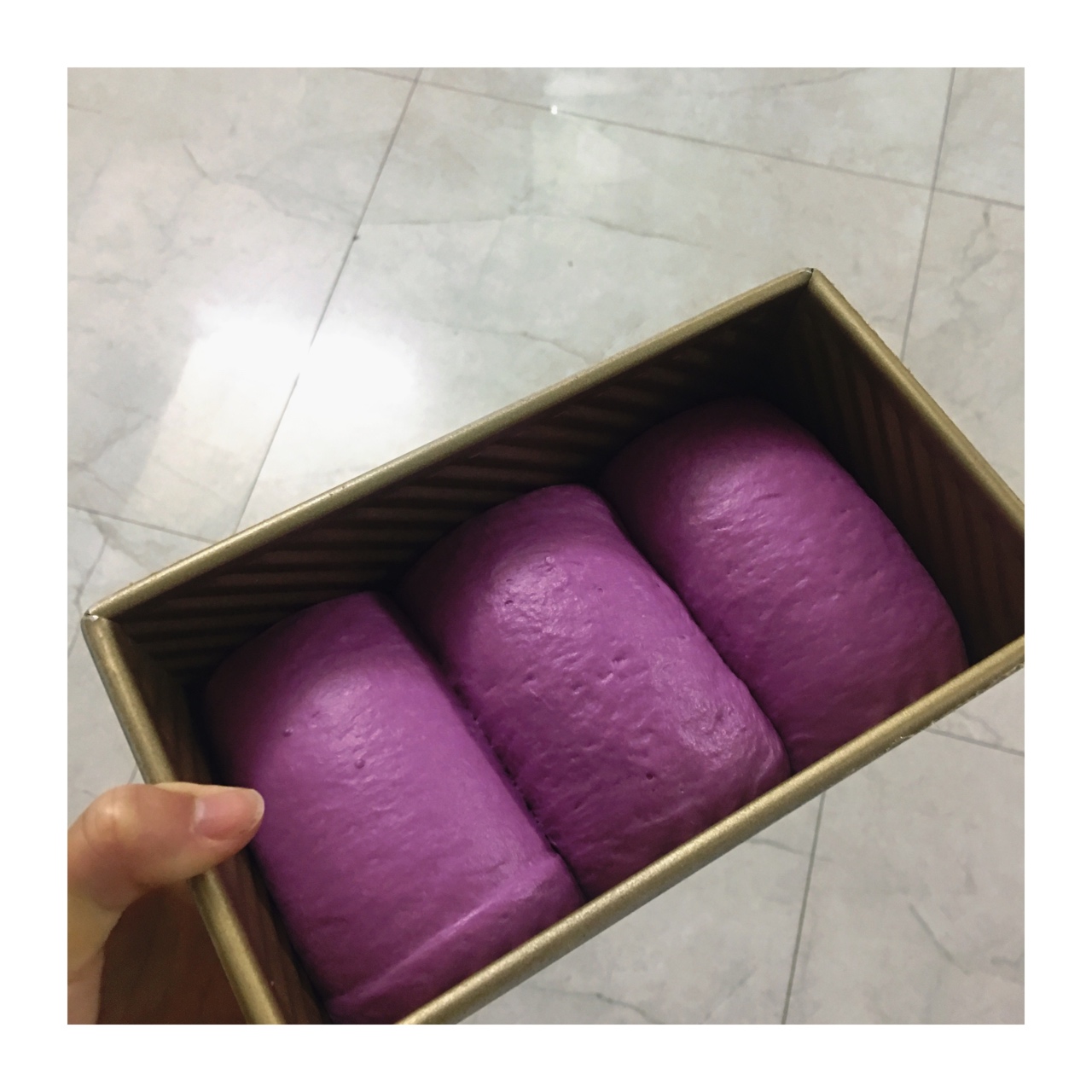 玩转面团——紫薯吐司（70%冷藏中种法）