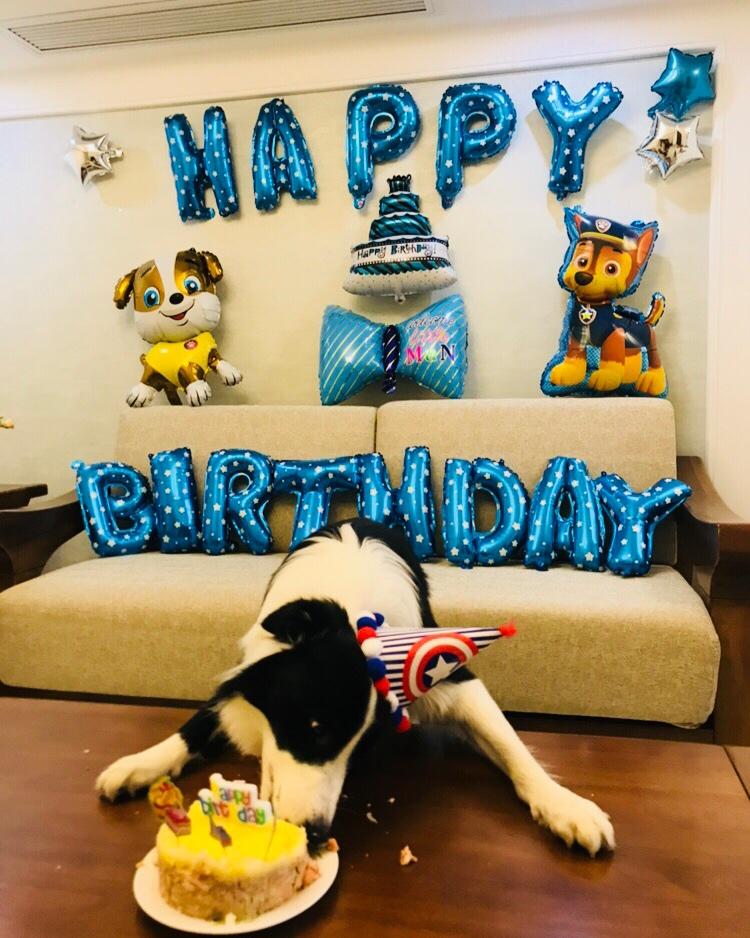 狗狗生日蛋糕（纯天然无色素无面粉）
