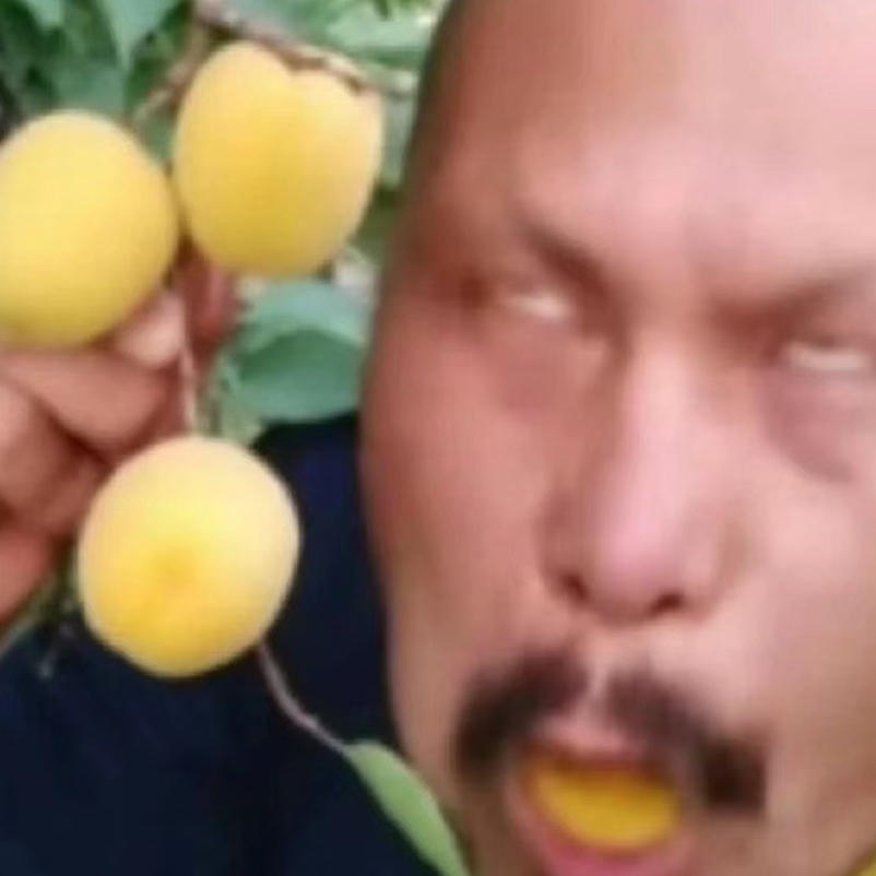 青青草原青青羊