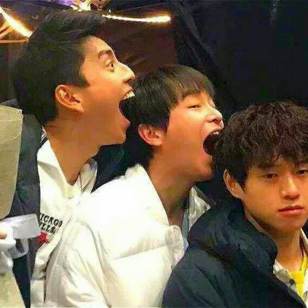吃虾米的小鱼