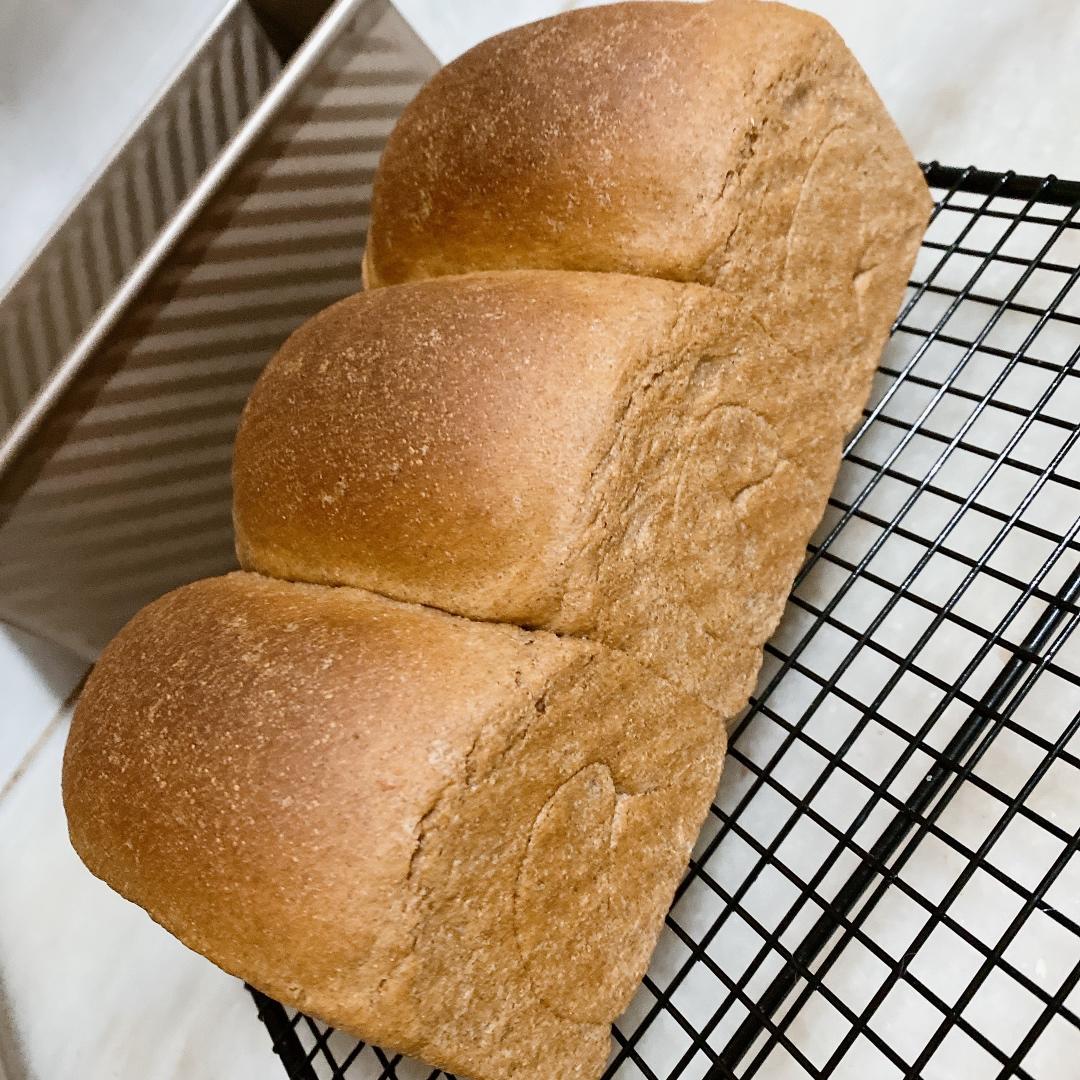 黑麦吐司 70%黑麦 波兰种