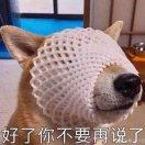 进步小青年啦