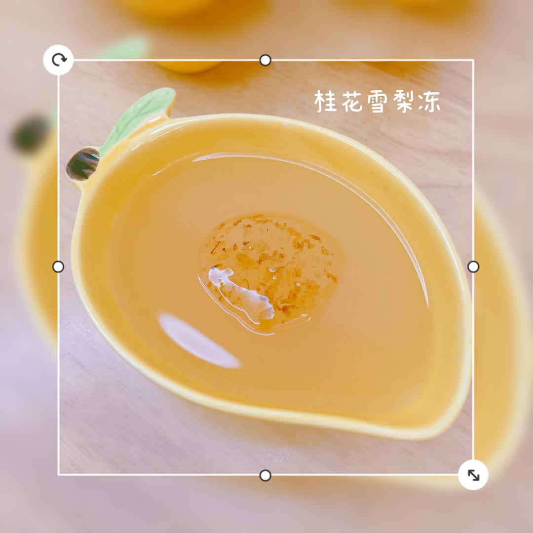 【入秋的第一道小甜品｜桂花雪梨冻】的做法