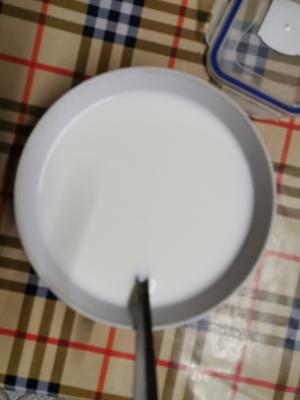 鲜奶布丁的做法 步骤2