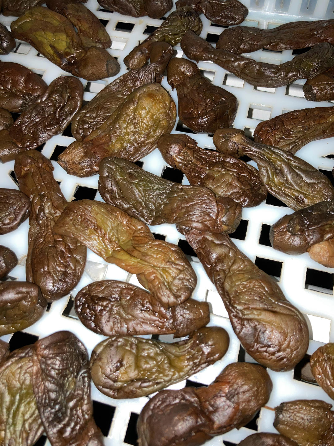 腌咸茄子
