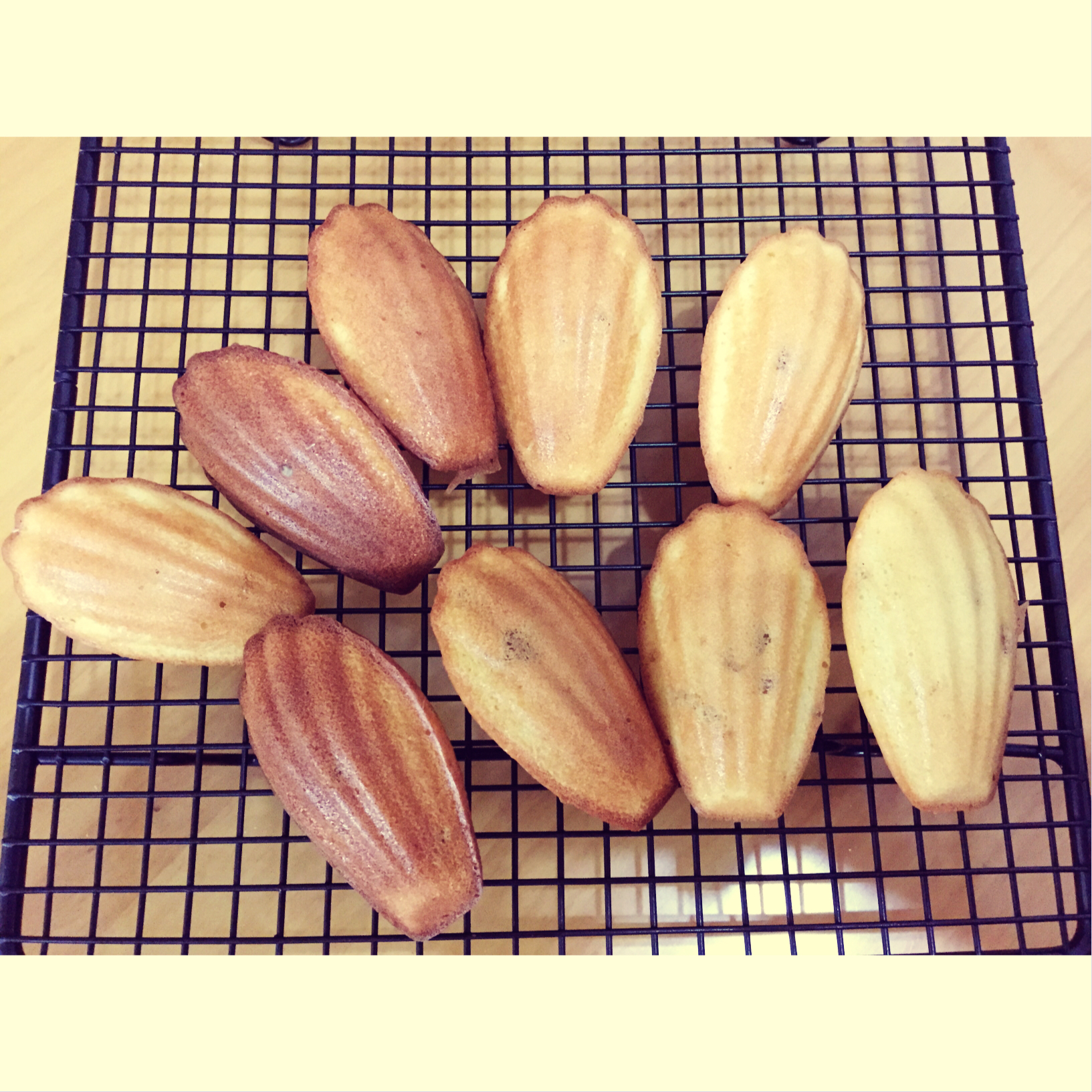 橙香玛德琳（植物油版）