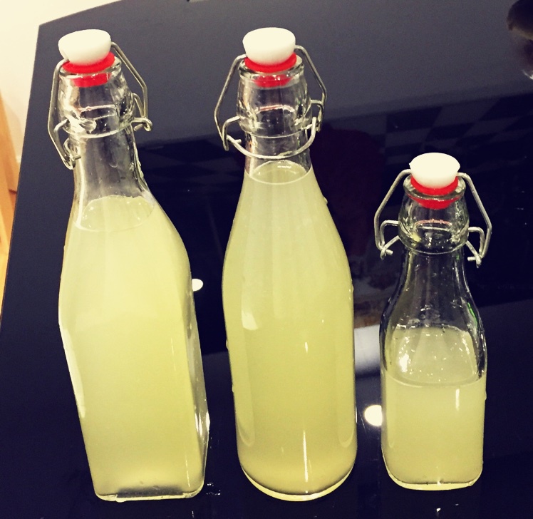 综合水果酵素液