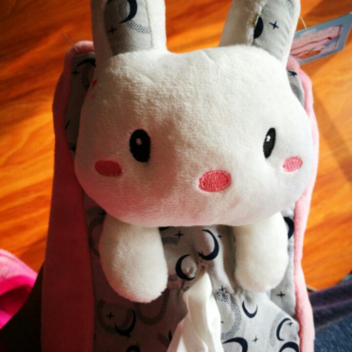 解先生哒小厨娘